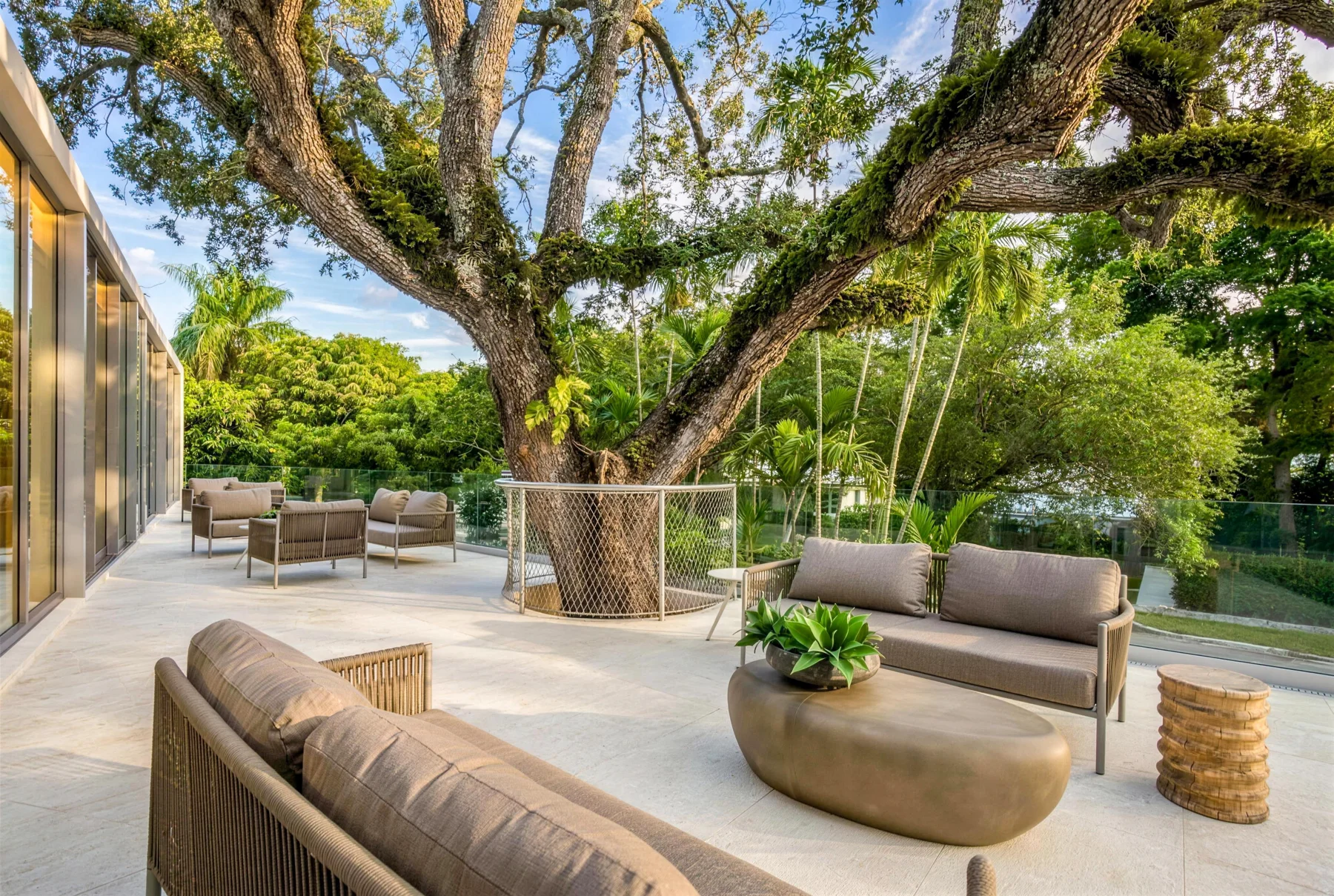 Onaway: a home around a tree. — project details